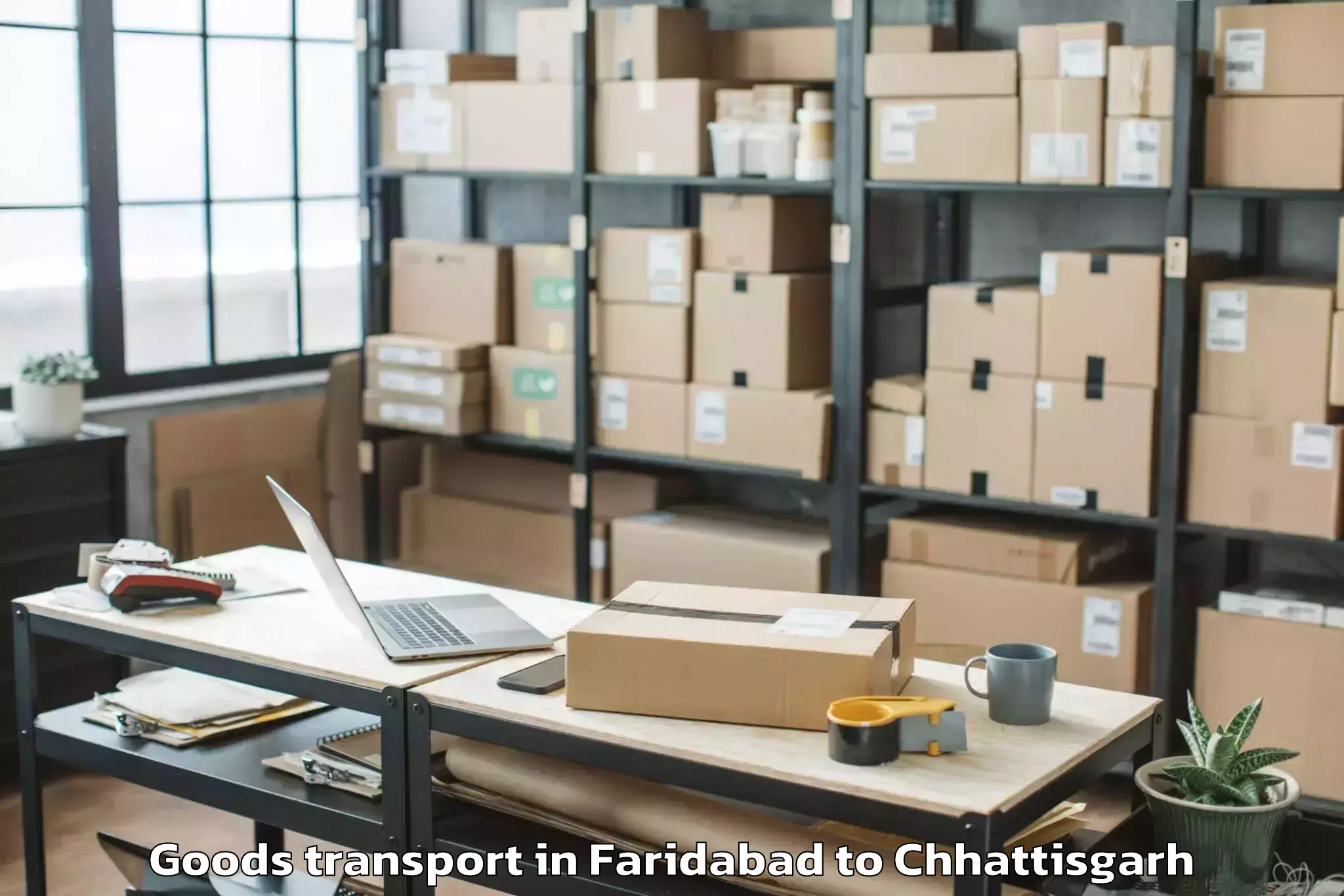 Book Faridabad to Indira Gandhi Krishi Vishwavid Goods Transport